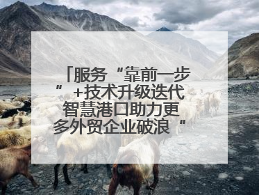 服务“靠前一步”+技术升级迭代 智慧港口助力更多外贸企业破浪“出海”