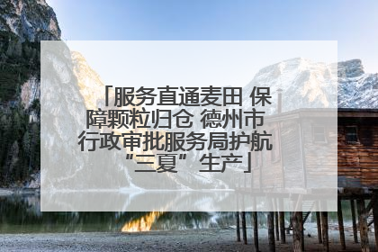 服务直通麦田 保障颗粒归仓 德州市行政审批服务局护航“三夏”生产