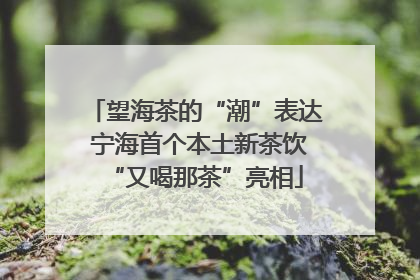 望海茶的“潮”表达 宁海首个本土新茶饮“又喝那茶”亮相