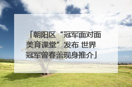 朝阳区“冠军面对面美育课堂”发布 世界冠军曾春蕾现身推介
