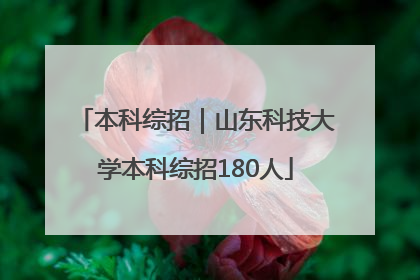 本科综招｜山东科技大学本科综招180人