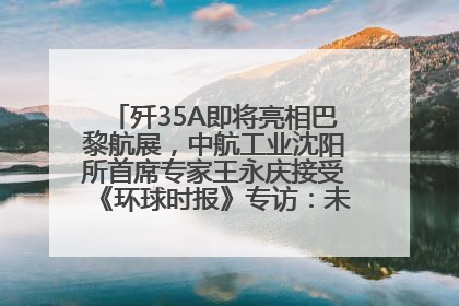 歼35A即将亮相巴黎航展，中航工业沈阳所首席专家王永庆接受《环球时报》专访：未来数量可以有很多