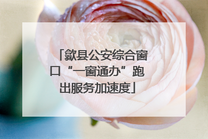 歙县公安综合窗口“一窗通办”跑出服务加速度