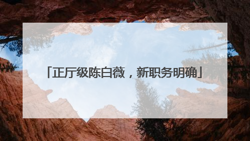 正厅级陈白薇，新职务明确