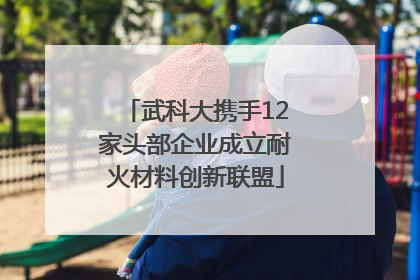 武科大携手12家头部企业成立耐火材料创新联盟