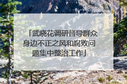 武晓花调研督导群众身边不正之风和腐败问题集中整治工作