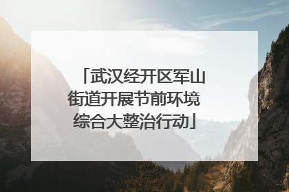 武汉经开区军山街道开展节前环境综合大整治行动