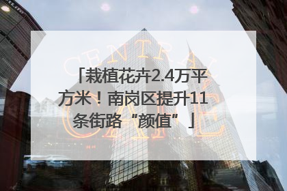 栽植花卉2.4万平方米！南岗区提升11条街路“颜值”