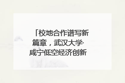 校地合作谱写新篇章，武汉大学·咸宁低空经济创新研究院签约成立