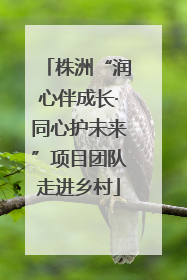 株洲“润心伴成长·同心护未来”项目团队走进乡村