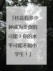 桂花有多少种成为美食的可能？你的水平可能不如小学生！