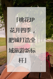 桃花IP花开四季，肥城打造全域旅游新标杆