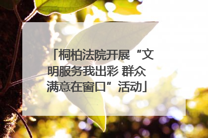 桐柏法院开展“文明服务我出彩 群众满意在窗口”活动