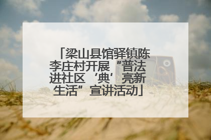 梁山县馆驿镇陈李庄村开展“普法进社区‘典’亮新生活”宣讲活动