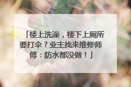 楼上洗澡，楼下上厕所要打伞？业主找来维修师傅：防水都没做！