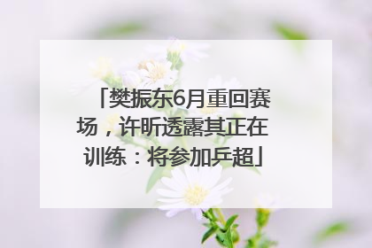 樊振东6月重回赛场，许昕透露其正在训练：将参加乒超