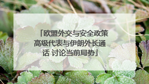 欧盟外交与安全政策高级代表与伊朗外长通话 讨论当前局势
