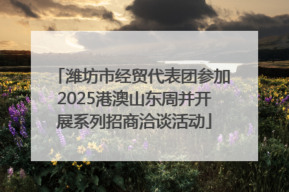 潍坊市经贸代表团参加2025港澳山东周并开展系列招商洽谈活动