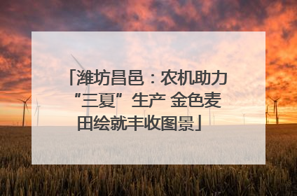 潍坊昌邑：农机助力“三夏”生产 金色麦田绘就丰收图景