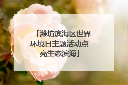潍坊滨海区世界环境日主题活动点亮生态滨海