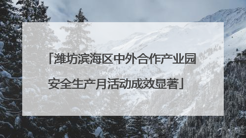 潍坊滨海区中外合作产业园安全生产月活动成效显著