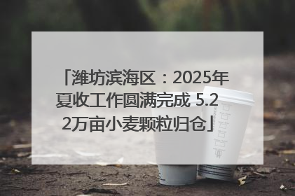 潍坊滨海区：2025年夏收工作圆满完成 5.22万亩小麦颗粒归仓