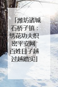 潍坊诸城石桥子镇：绣花功夫织密平安网 百姓日子越过越踏实