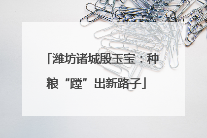 潍坊诸城殷玉宝：种粮“蹚”出新路子