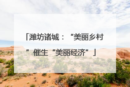 潍坊诸城：“美丽乡村”催生“美丽经济”