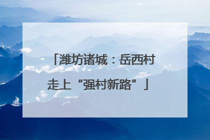 潍坊诸城：岳西村走上“强村新路”