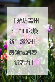 潍坊青州：“旧房焕新”激发住房领域消费新活力