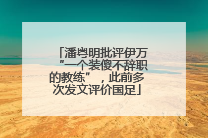 潘粤明批评伊万“一个装傻不辞职的教练”，此前多次发文评价国足