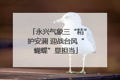 永兴气象三“精”护安澜 迎战台风“蝴蝶”显担当
