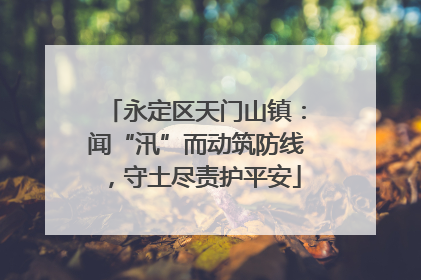 永定区天门山镇：闻“汛”而动筑防线，守土尽责护平安