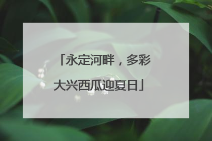 永定河畔，多彩大兴西瓜迎夏日