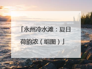 永州冷水滩：夏日荷韵浓（组图）