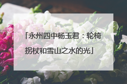 永州四中杨玉君：轮椅拐杖和雪山之水的光