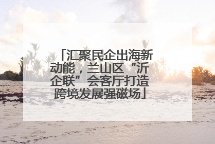 汇聚民企出海新动能，兰山区“沂企联”会客厅打造跨境发展强磁场