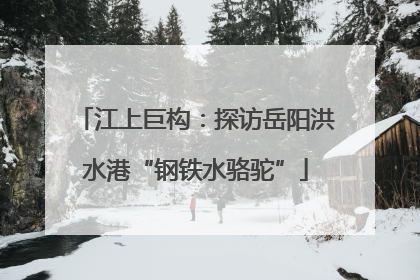 江上巨构：探访岳阳洪水港“钢铁水骆驼”