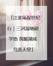 江淮环保世纪行｜三河湿地研学热 黄陂湖成鸟类天堂
