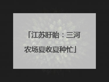 江苏盱眙：三河农场夏收夏种忙