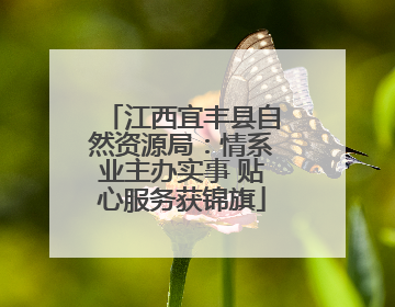 江西宜丰县自然资源局：情系业主办实事 贴心服务获锦旗