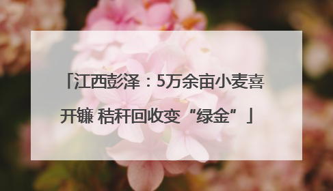 江西彭泽：5万余亩小麦喜开镰 秸秆回收变“绿金”
