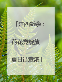 江西新余：荷花竞绽放 夏日诗意浓