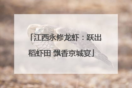 江西永修龙虾：跃出稻虾田 飘香京城宴