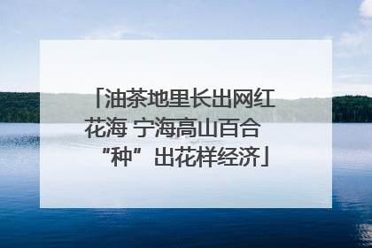 油茶地里长出网红花海 宁海高山百合“种”出花样经济