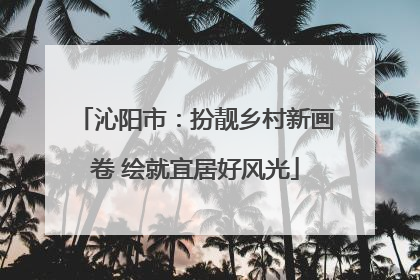 沁阳市：扮靓乡村新画卷 绘就宜居好风光
