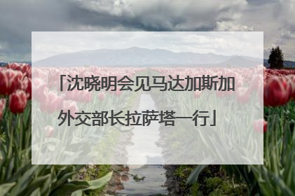 沈晓明会见马达加斯加外交部长拉萨塔一行