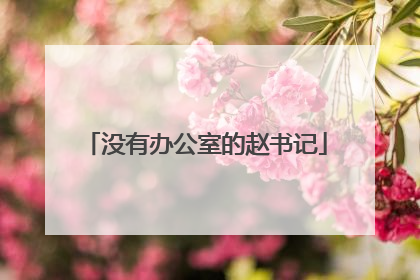没有办公室的赵书记