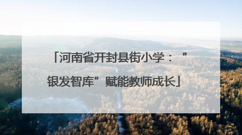 河南省开封县街小学：“银发智库”赋能教师成长
